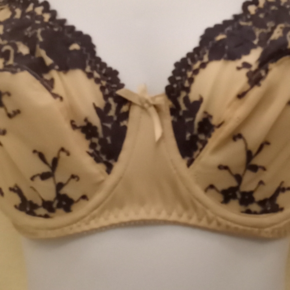 Curve Muse Embroidered Lace & Mesh Bra - Picture 5 of 16
